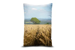 High Bradfield Wheat Field Bolster