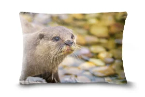 Otter Head Bolster