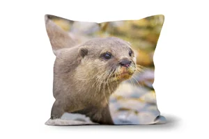 Wild Otter Scatter Cushions