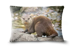 Otter Bolster