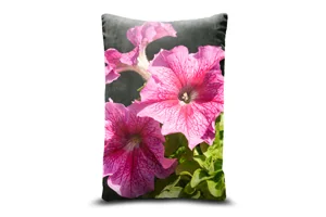 Pink Veined Petunia Flower Bolster