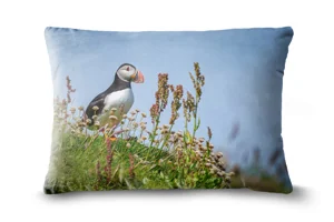 Puffins Bolster