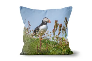 Colourful Handa Puffin Scatter Cushions