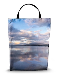 16in x 20in Shopping Bag