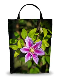 16in x 20in Shopping Bag