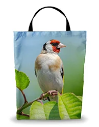 16in x 20in Shopping Bag