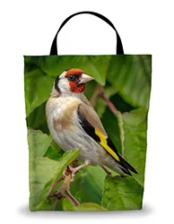 16in x 20in Shopping Bag