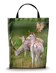 16in x 20in Shopping Bag