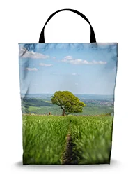 16in x 20in Shopping Bag