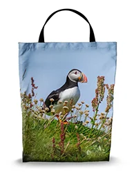 16in x 20in Shopping Bag