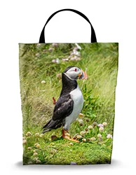 16in x 20in Shopping Bag