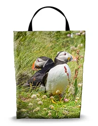 16in x 20in Shopping Bag