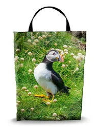 16in x 20in Shopping Bag