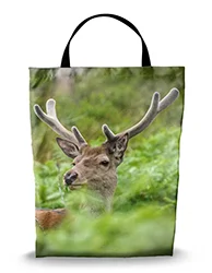 16in x 20in Shopping Bag