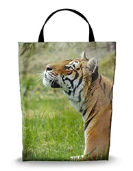 16in x 20in Shopping Bag