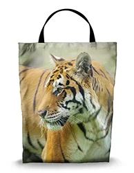 16in x 20in Shopping Bag