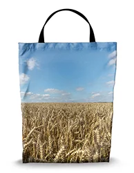 16in x 20in Shopping Bag