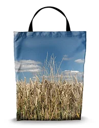 16in x 20in Shopping Bag