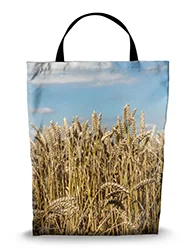 16in x 20in Shopping Bag