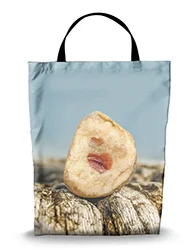 16in x 20in Shopping Bag