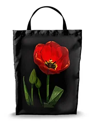 16in x 20in Shopping Bag