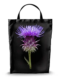 16in x 20in Shopping Bag