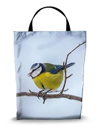 16in x 20in Shopping Bag