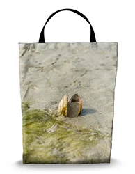 16in x 20in Shopping Bag