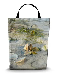16in x 20in Shopping Bag
