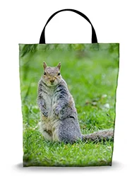 16in x 20in Shopping Bag