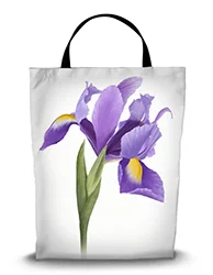 16in x 20in Shopping Bag