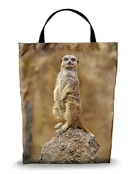 16in x 20in Shopping Bag