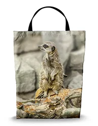 16in x 20in Shopping Bag