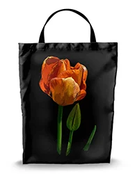 16in x 20in Shopping Bag