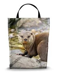 16in x 20in Shopping Bag