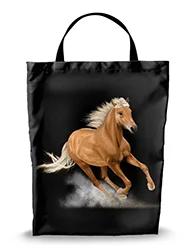 16in x 20in Shopping Bag