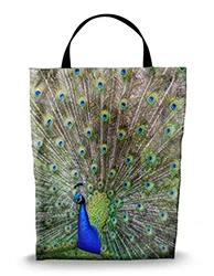 16in x 20in Shopping Bag