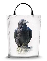 16in x 20in Shopping Bag