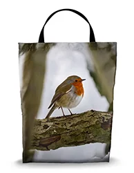 16in x 20in Shopping Bag