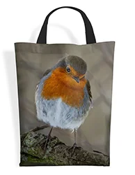 16in x 20in Shopping Bag