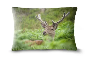 Red Deer Stag Bolster