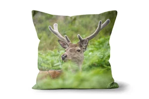 Red Deer Stag Head Scatter Cushions