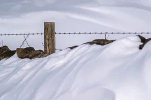 Snow Fence Art Prints