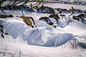 Snow Sculptures Art Prints