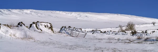 Bradfield Snows Panoramic Art Prints