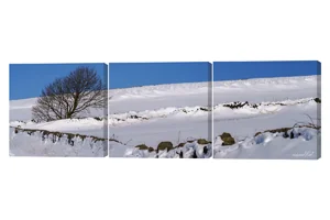 Bradfield Snowscape Art Prints