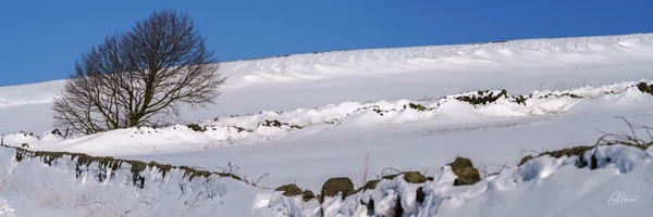 Bradfield Winter Snowscape Panoramic Art Prints