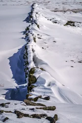 Drifting Snow Art Prints
