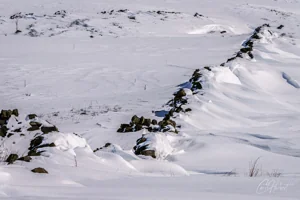 Drifting Snows Art Prints