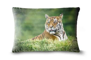 Sumatran Tiger Bolster